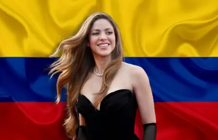 Shakira denuncia el uso de su imagen para fines pol�ticos