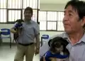 Perrito acompa�a a miembro de mesa
