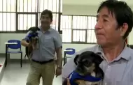 Fiel hasta el final: perrito acompaña a su dueño tras quedarse como miembro de mesa