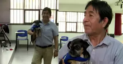 Perrito acompa�a a miembro de mesa