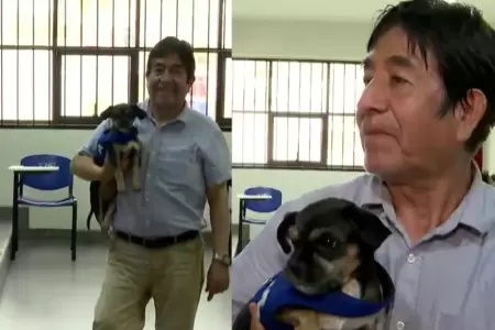 Perrito acompa�a a miembro de mesa