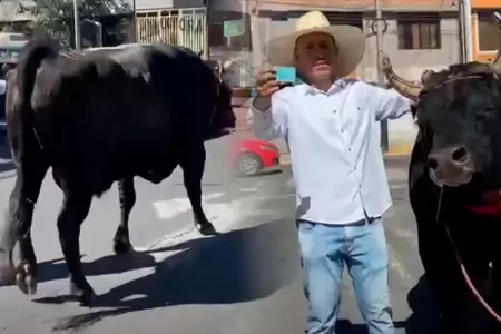 Due�o va a votar con su toro en segunda vuelta Elecciones 2026.