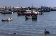 Oleajes anómalos mantienen cerrados los puertos de la región y alertan a autoridades