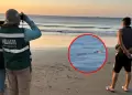 SERFOR confirma avistamiento de cocodrilo en playa de Tumbes: Habr�a sido desplazados por lluvias intensas