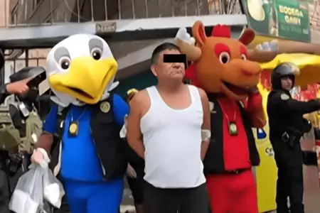 Agentes Terna se disfrazan de mascotas del Mundial para capturar a sujeto