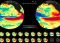 Fen�meno de El Ni�o Global podr�a ser uno de los m�s intensos en los �ltimos a�os seg�n expertos