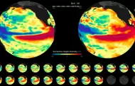 El Niño Global: Fenómeno podría ser uno de los más intensos en los últimos años, según expertos