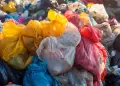 Hallan fetos en contenedores de basura: ola de casos alerta a las autoridades