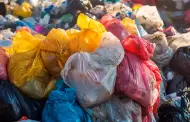 Hallan fetos en contenedores de basura: ola de casos alerta a las autoridades