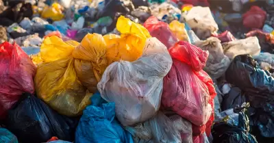 Fetos fueron abandonados en contenedores.