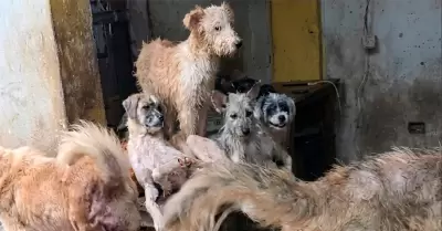 Due�a de albergue fue sentenciada.