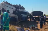 Trágico choque de tren y autobús: Reportan al menos 9 muertos y más de 20 heridos