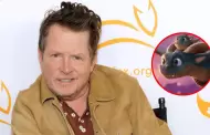 Michael J. Fox vuelve al cine para ser la voz protagonista en película animada 'Dragoons'