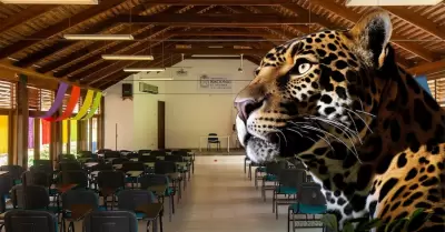 El animal se encontr� en las aulas.