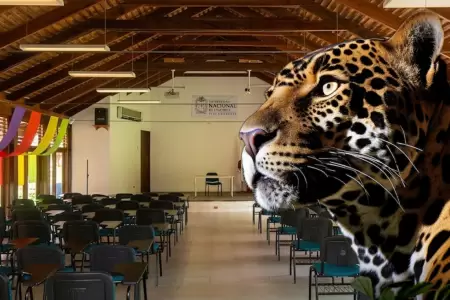 El animal se encontr� en las aulas.