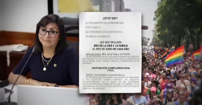 Gobierno oficializa ley que declara el "mes de la vida y la familia"