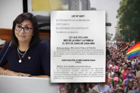Gobierno oficializa ley que declara el "mes de la vida y la familia"