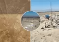 Detienen a 7 personas por realizar excavaciones ilegales en el �rea de Reserva Arqueol�gica L�neas y Geoglifos de Nasca