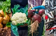 Fenómeno de El Niño: Estos son los alimentos que aumentarían de precios por la lluvias intensas