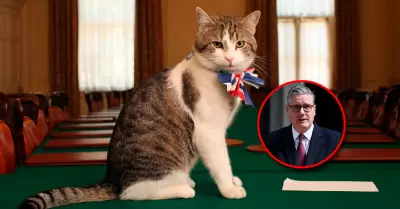 El felino de 19 a�os ha visto pasar a seis primeros ministros del Reino Unido.