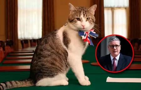 El felino de 19 a�os ha visto pasar a seis primeros ministros del Reino Unido.