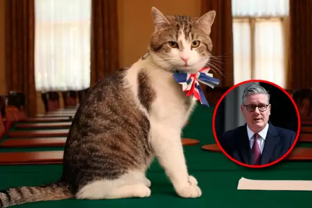 El felino de 19 a�os ha visto pasar a seis primeros ministros del Reino Unido.