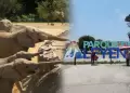 Parque de las Leyendas tiene previsto organizar un concurso para elegir los nombres de los elefantes