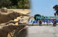 Parque de las Leyendas tiene previsto organizar un concurso para elegir los nombres de los elefantes