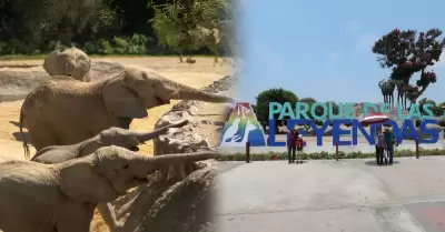 Elefantes en el Parque de las Leyendas