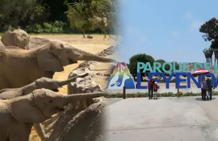 Elefantes en el Parque de las Leyendas