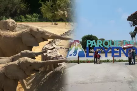 Elefantes en el Parque de las Leyendas