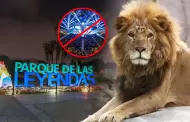 Parque de las Leyendas: Municipalidad de San Miguel desestima el 'Arena Lima' para proteger fauna del recinto