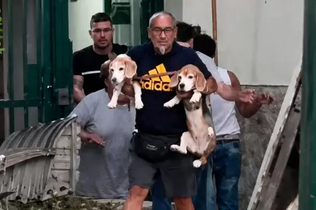 Hombre rescat� a sus dos perros tras terremoto en Venezuela.