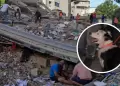 De v�ctima de maltrato a rescate de personas: Tsunami, el perro que ayuda a salvar vidas tras el terremoto en Venezuela