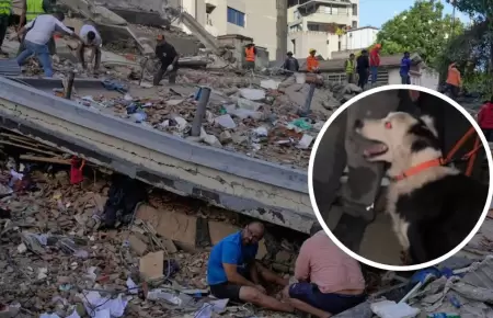 Perro salva vidas tras el terremoto en Venezuela