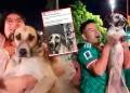 Mujer encuentra a su perra perdida durante el Mundial: Hinchas mexicanos celebraban con la mascota en directo