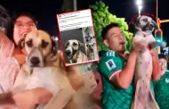 Mujer encuentra a su perra perdida durante el Mundial: Hinchas mexicanos celebraban con la mascota en directo