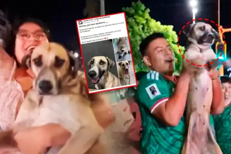 La due�a de la mascota llevaba busc�ndola por m�s de un mes