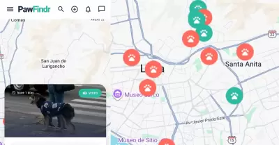 Aplicaci�n para encontrar a perros y gatos perdidos