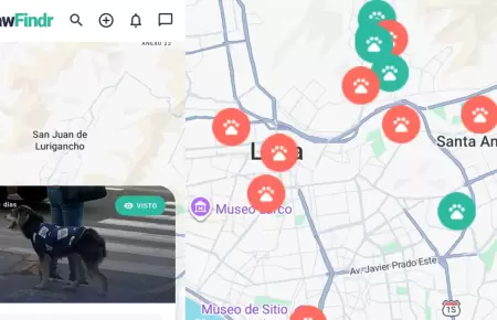 Aplicaci�n para encontrar a perros y gatos perdidos