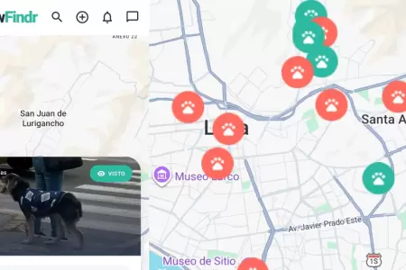 Aplicaci�n para encontrar a perros y gatos perdidos