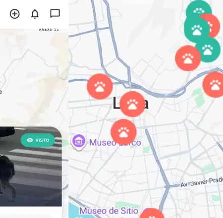 Aplicaci�n para encontrar a perros y gatos perdidos