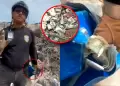 Indignaci�n en Venezuela: Acusan a polic�a de intentar robarse un fajo de d�lares entre los escombros tras los terremotos