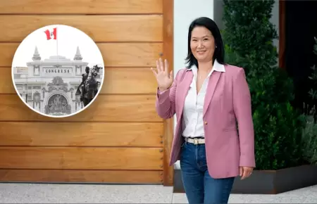 Especialista pide a oposici�n respetar la gesti�n de Fujimori.