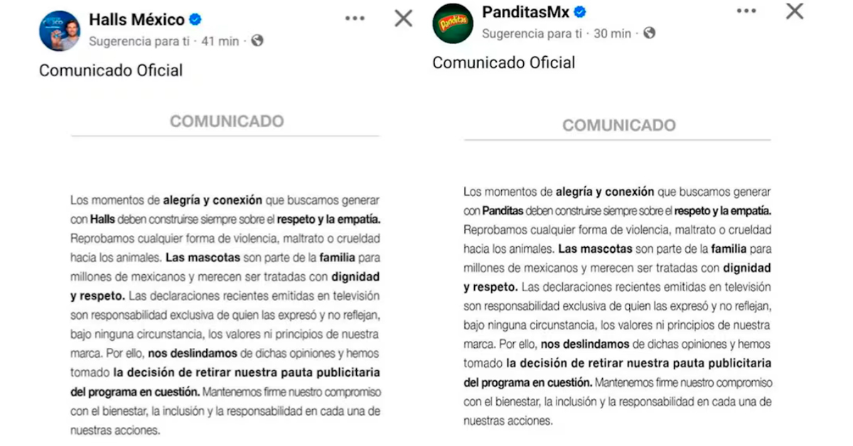Halls y Panditas también dan a conocer su postura. (Difusión)