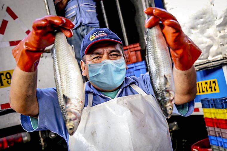 El sector de la pesca fue uno de los m´s perjudicado por los cambios climatológicos
