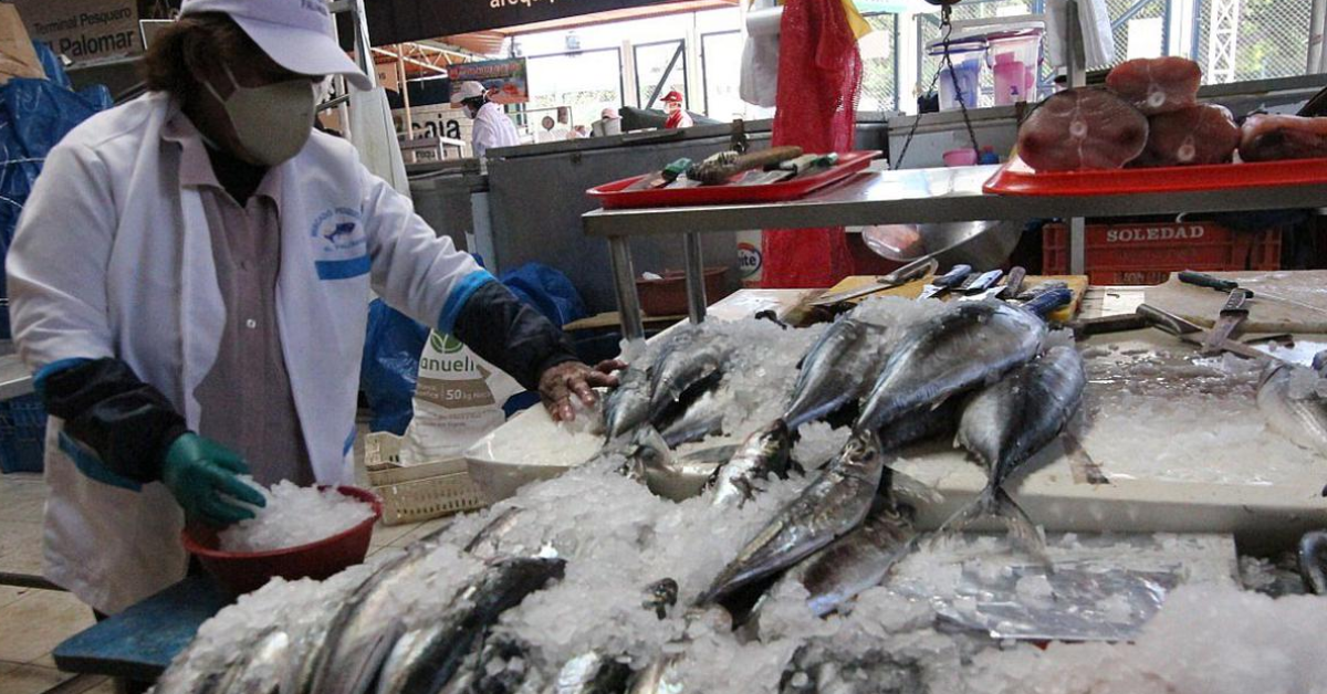 Alerta en los mercados: El Niño Costero encarece el pescado y agrava la escasez de productos marinos
