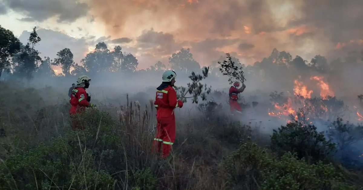 Senamhi emite ALERTA ROJA por condiciones extremas que podrían desatar incendios forestales en la sierra y selva sur