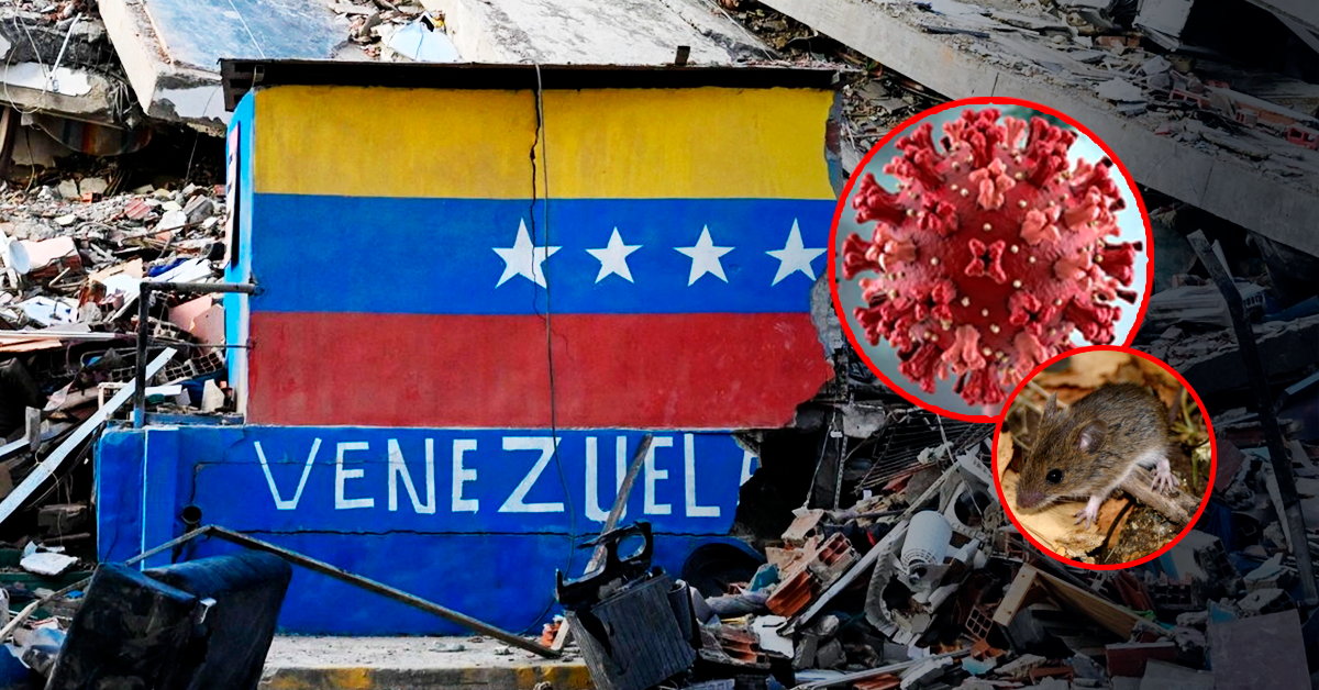 Hantavirus en Venezuela: Ministerio de Salud confirma hasta tres muertes en Anzoátegui