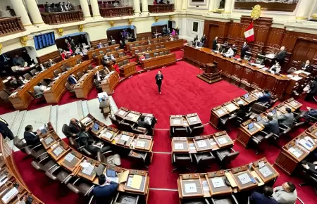 Pleno del Congreso.
